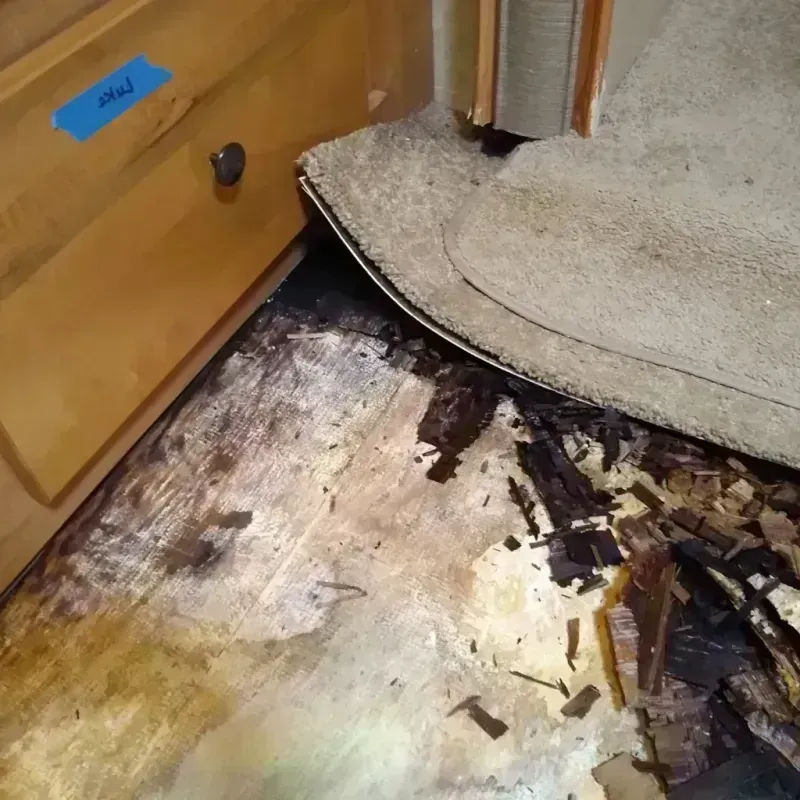 Wood Floor Water Damage in Minneapolis, KS